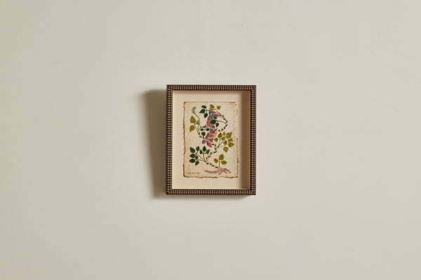 Botanical No.11