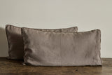 Shams in Clay