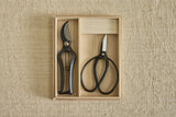 Sentei Set