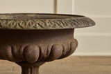Pair of French Iron Planters