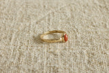 Mid Century Gold and Coral Band