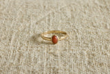 Mid Century Gold and Coral Band