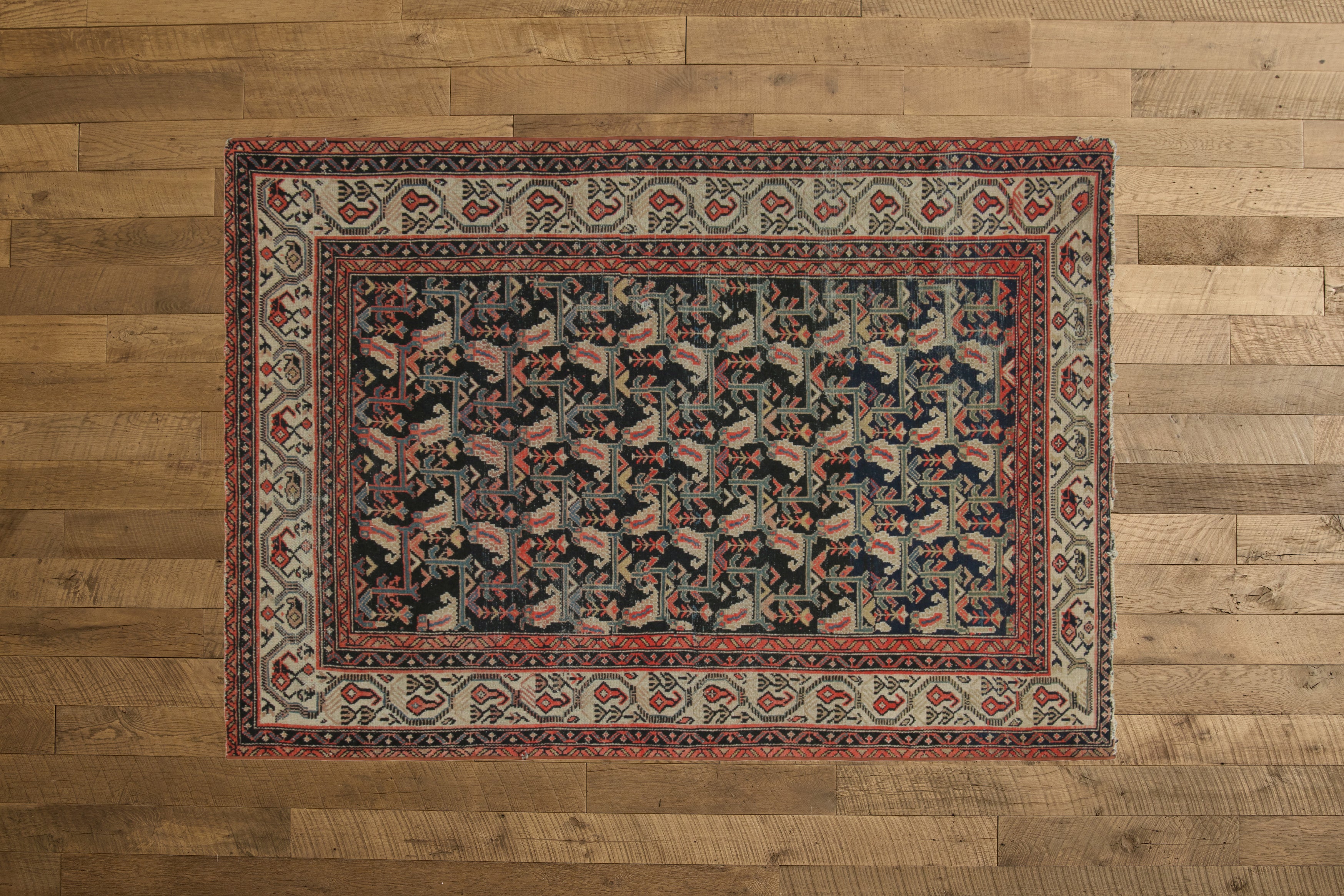 Coral & Green Malayer Rug 4’6 X 6’7