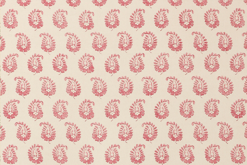 Cypress Wallpaper (Multiple Colors)