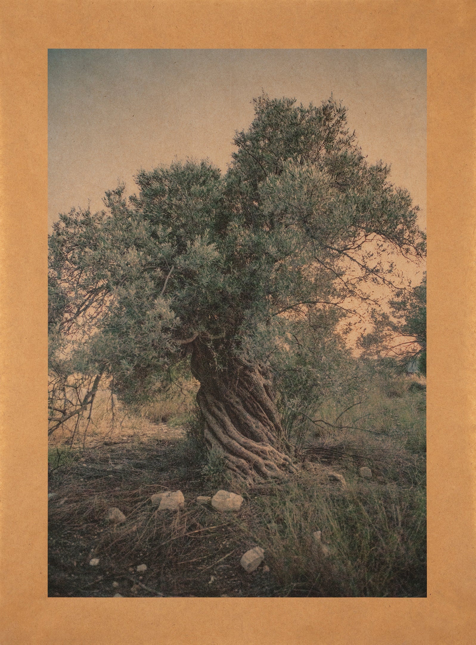 Song of Apollo’s Priestesses, Crete
