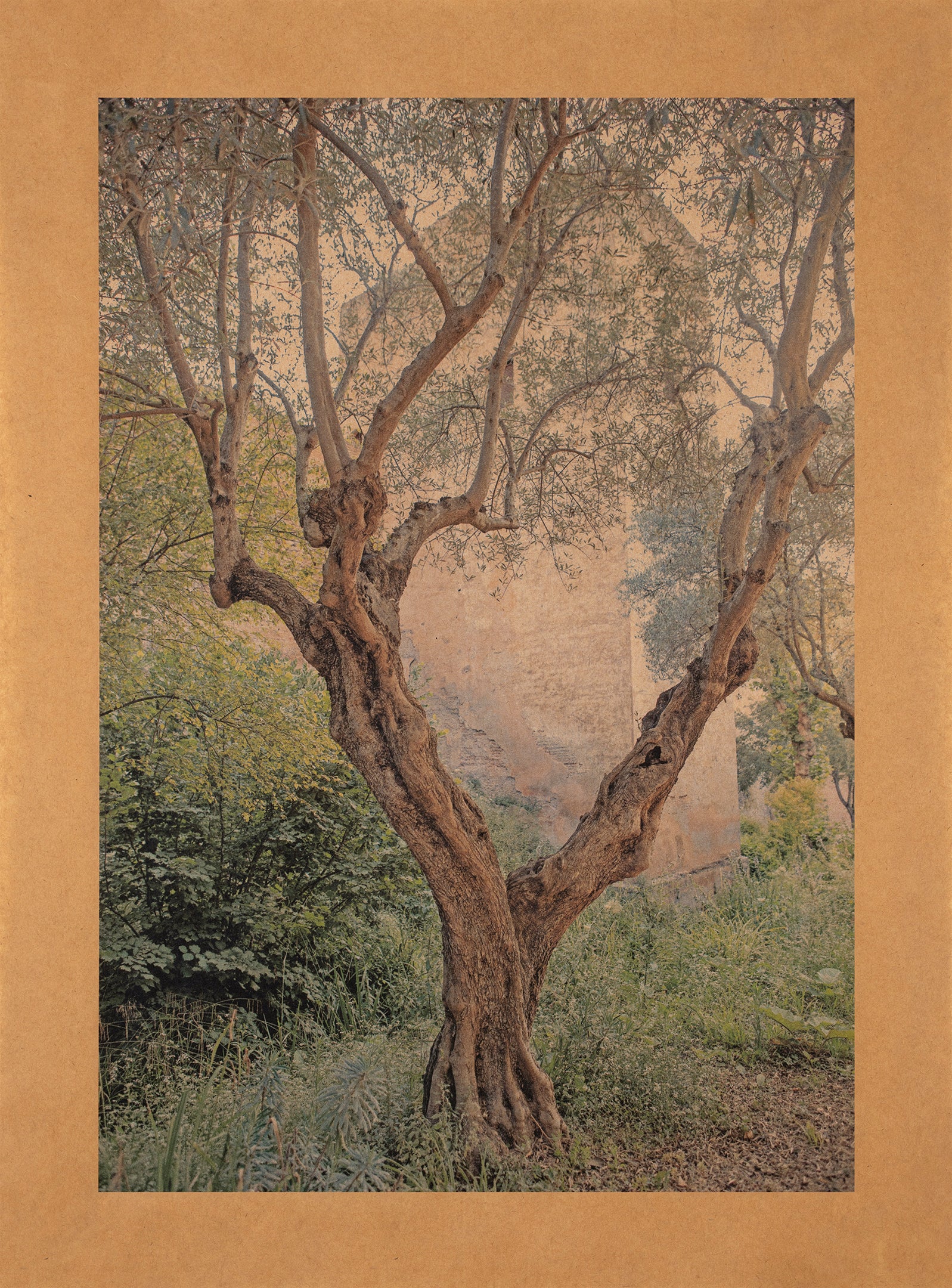 Song of The Alahambra, Granada, Spain