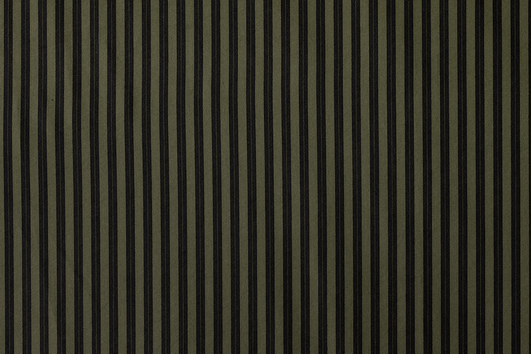 Burnley Overdye Ticking in Olive (Reversible)