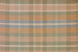 Hedges Lane #252 Rug