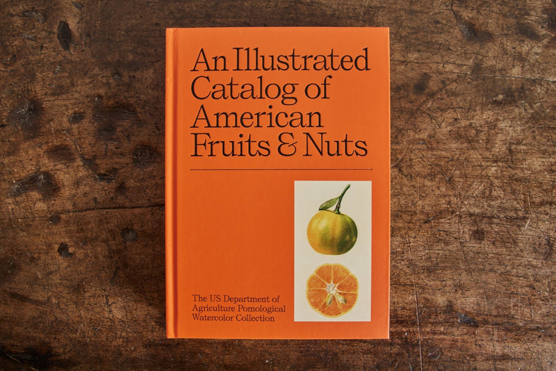 An Illustrated Catalog of American Fruits & Nuts - Nickey Kehoe