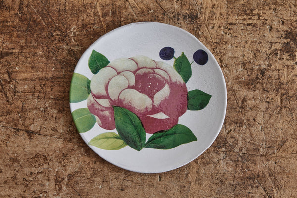 Astier Plate Voluptuous Rose - Nickey Kehoe