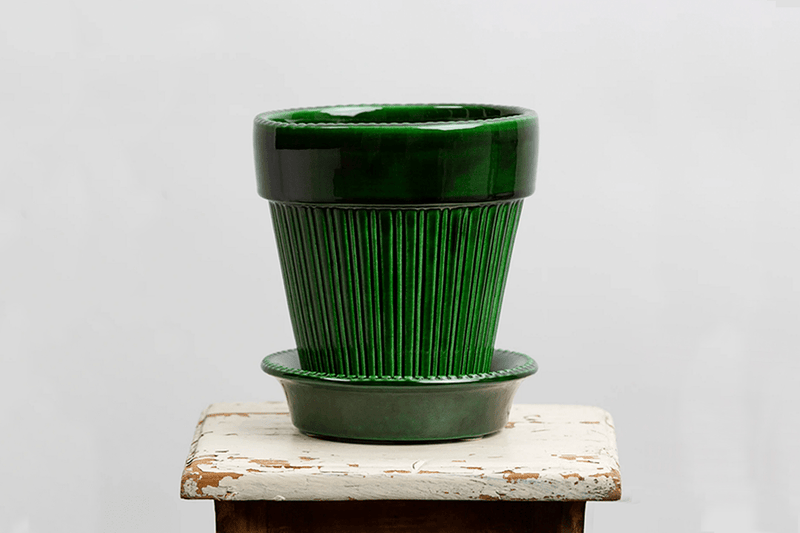 Bergs, Simona Pot in Green (Multiple Sizes) - Nickey Kehoe