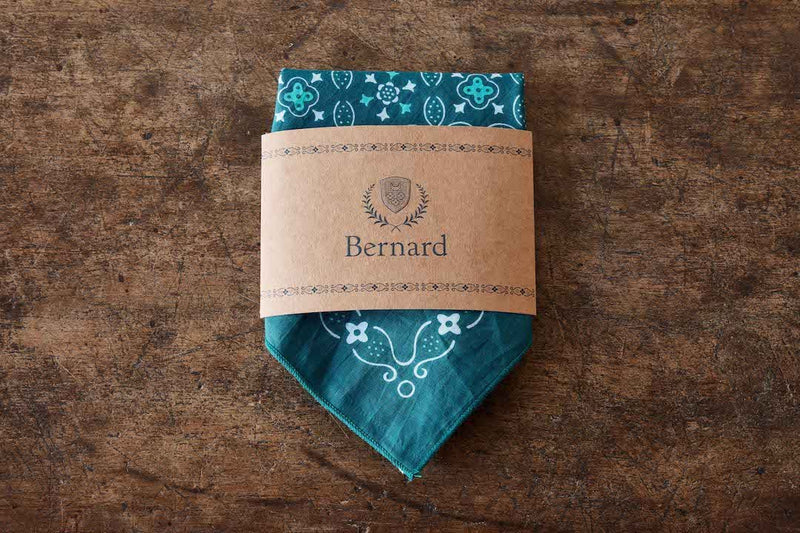 Bernard, Teal Bandana - Nickey Kehoe