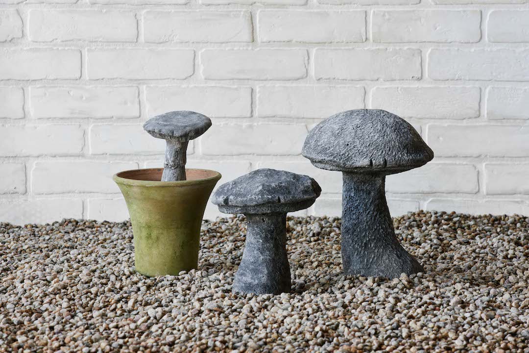 Campo de Fiori, Aged Garden Mushroom - Nickey Kehoe