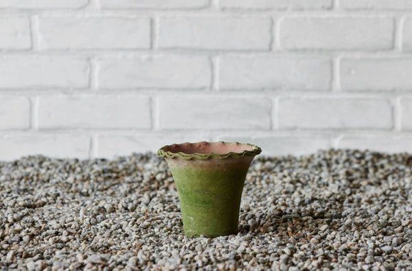 Campo de Fiori, Rustic Pie Crust Planter - Nickey Kehoe