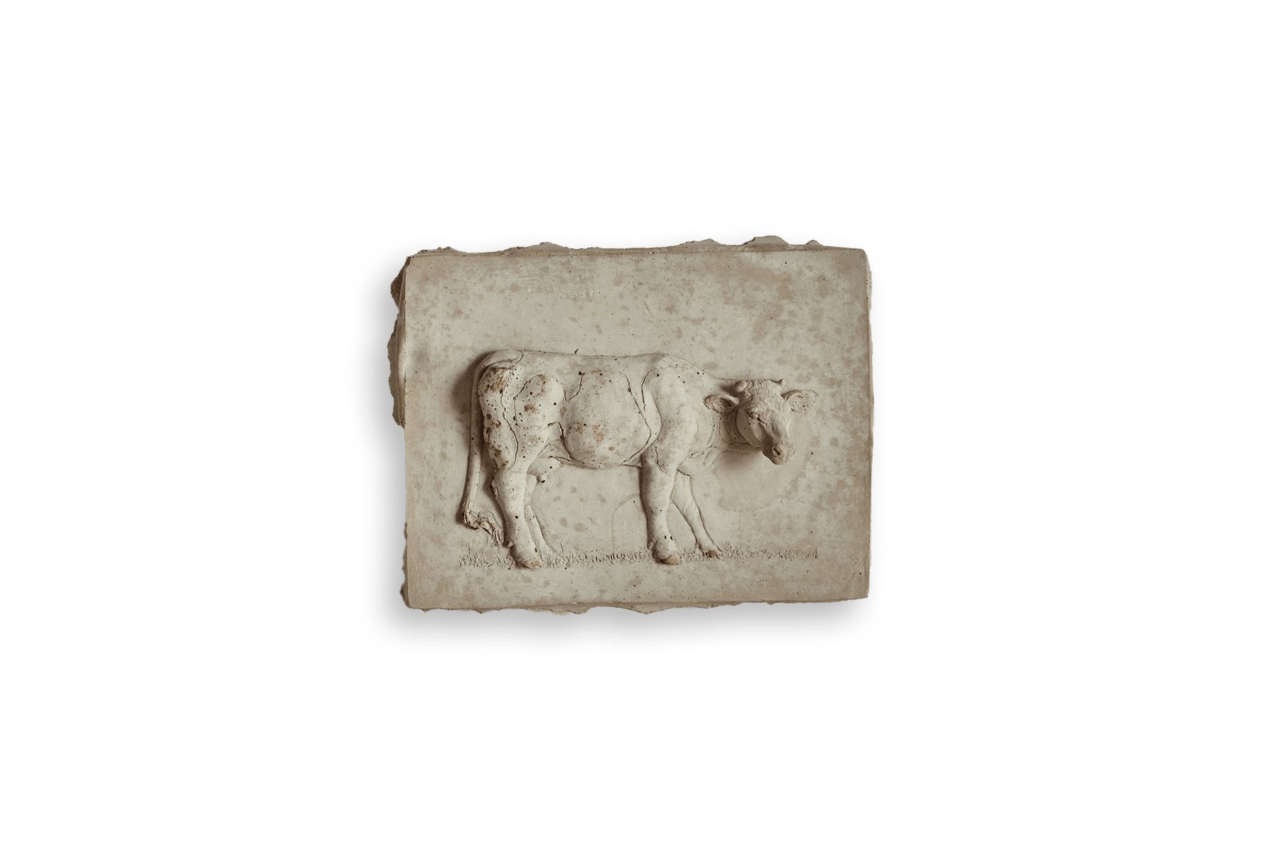 Cow Plaster Wall Relief (LA) - Nickey Kehoe