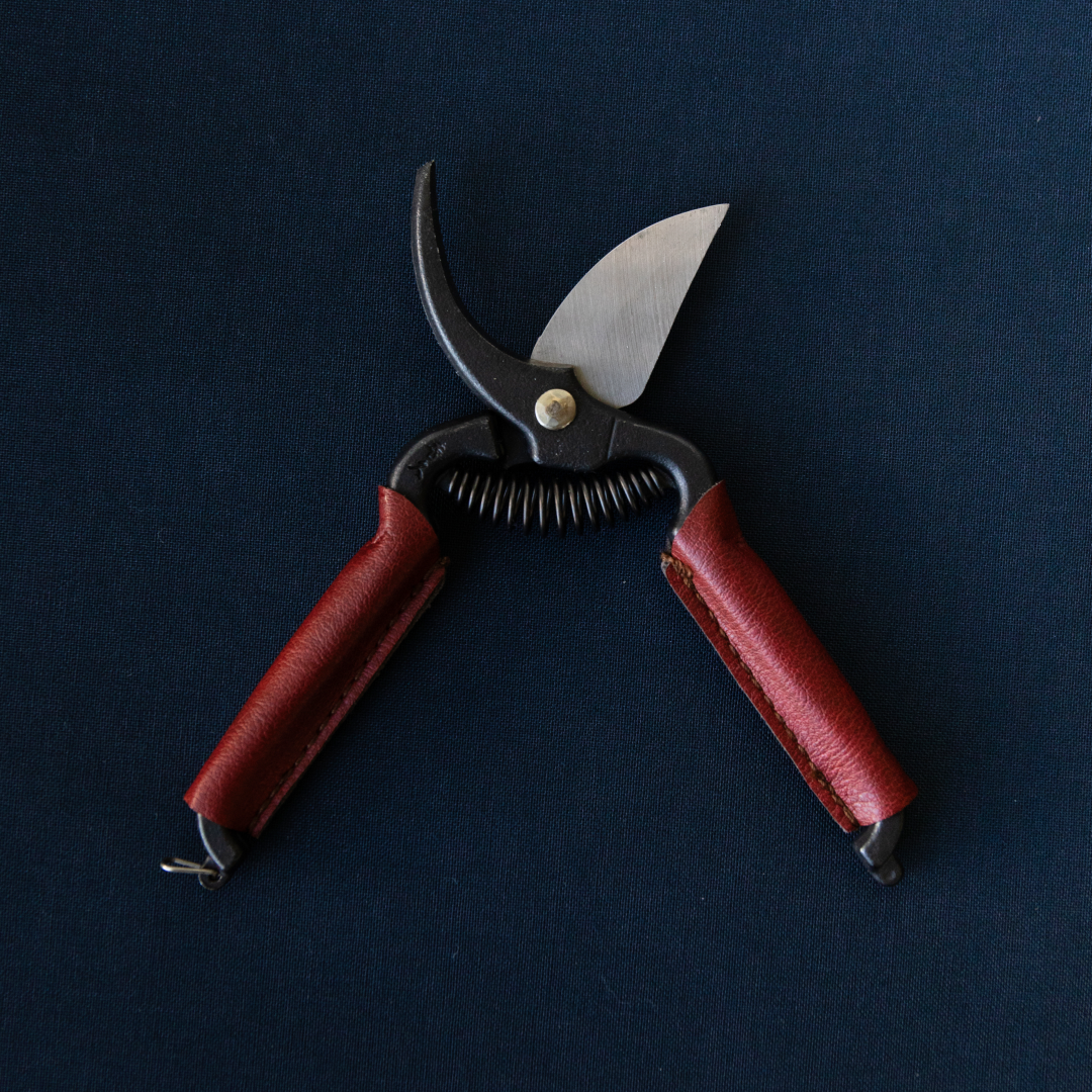 Mini Secateurs