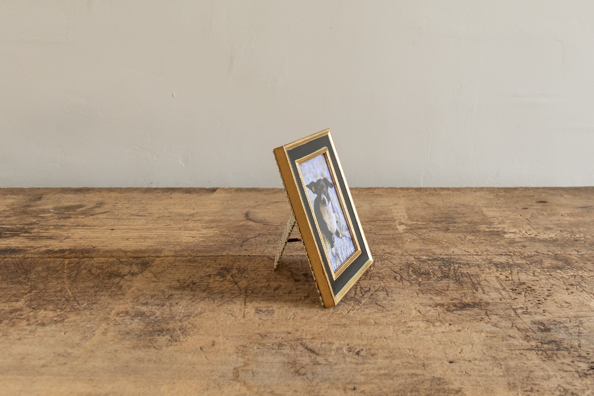 Gold Leaf Frames (Multiple Styles) - Nickey Kehoe