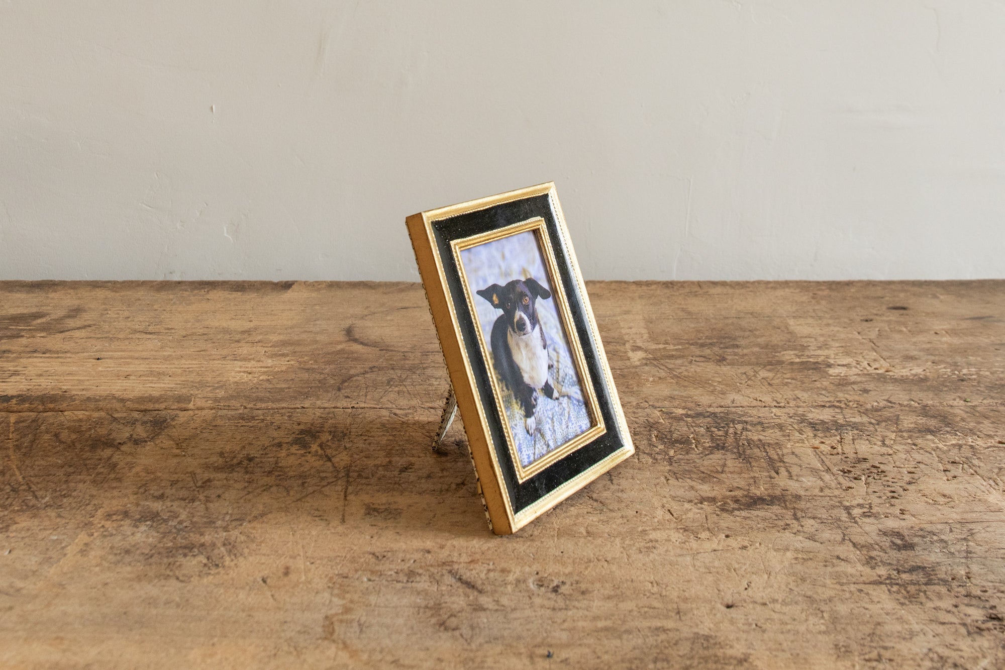 Gold Leaf Frames (Multiple Styles) - Nickey Kehoe