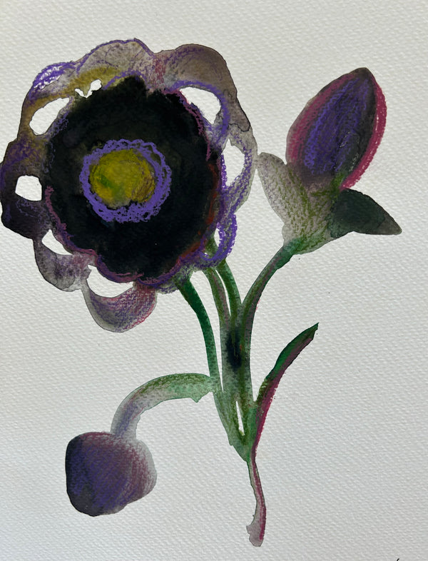 Liz Young Botanical Watercolor Painting Workshop