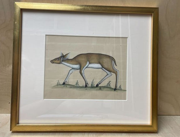 INDIAN ANIMAL PAINTING 7