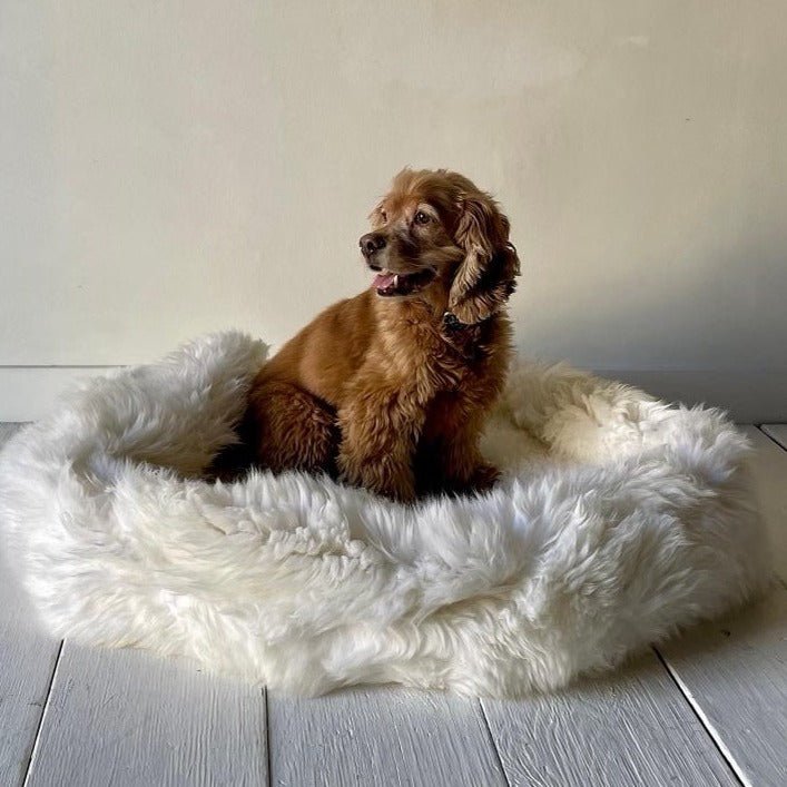 Irish Sheep Wool Pet Bed (Multiple Sizes) - Nickey Kehoe