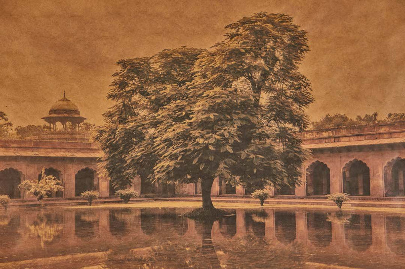 Joslyn Lawrence, Monsoon Mirror, Agra, India - Nickey Kehoe