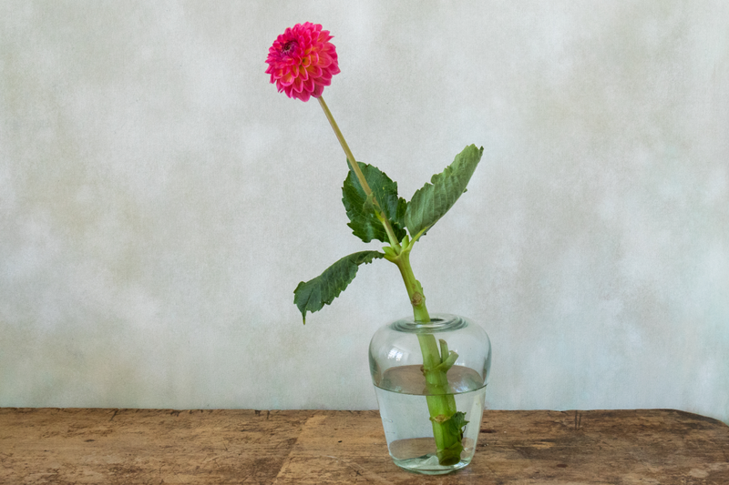 La Soufflerie Yoshi Big Vase