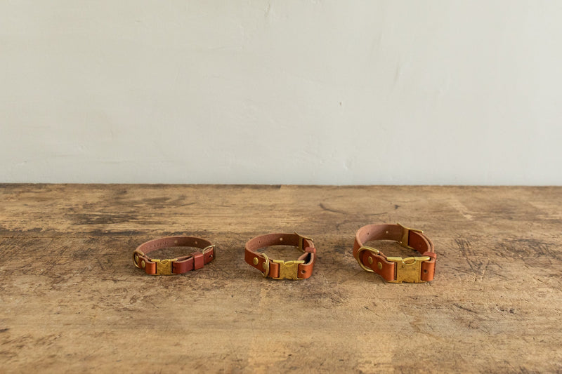 Image of Nickey Kehoe Dog Collar - Tan (Multiple Sizes) from Nickey Kehoe