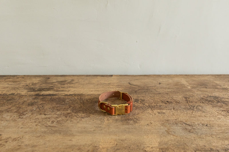 Image of Nickey Kehoe Dog Collar - Tan (Multiple Sizes) from Nickey Kehoe