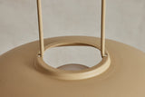Shown in Biscuit 