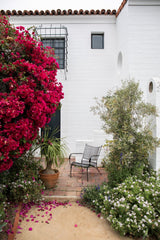 Terrace Lounge Armchair