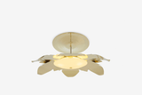 Shown in Polished Brass Lacquered