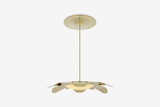 Shown in Polished Brass Lacquered