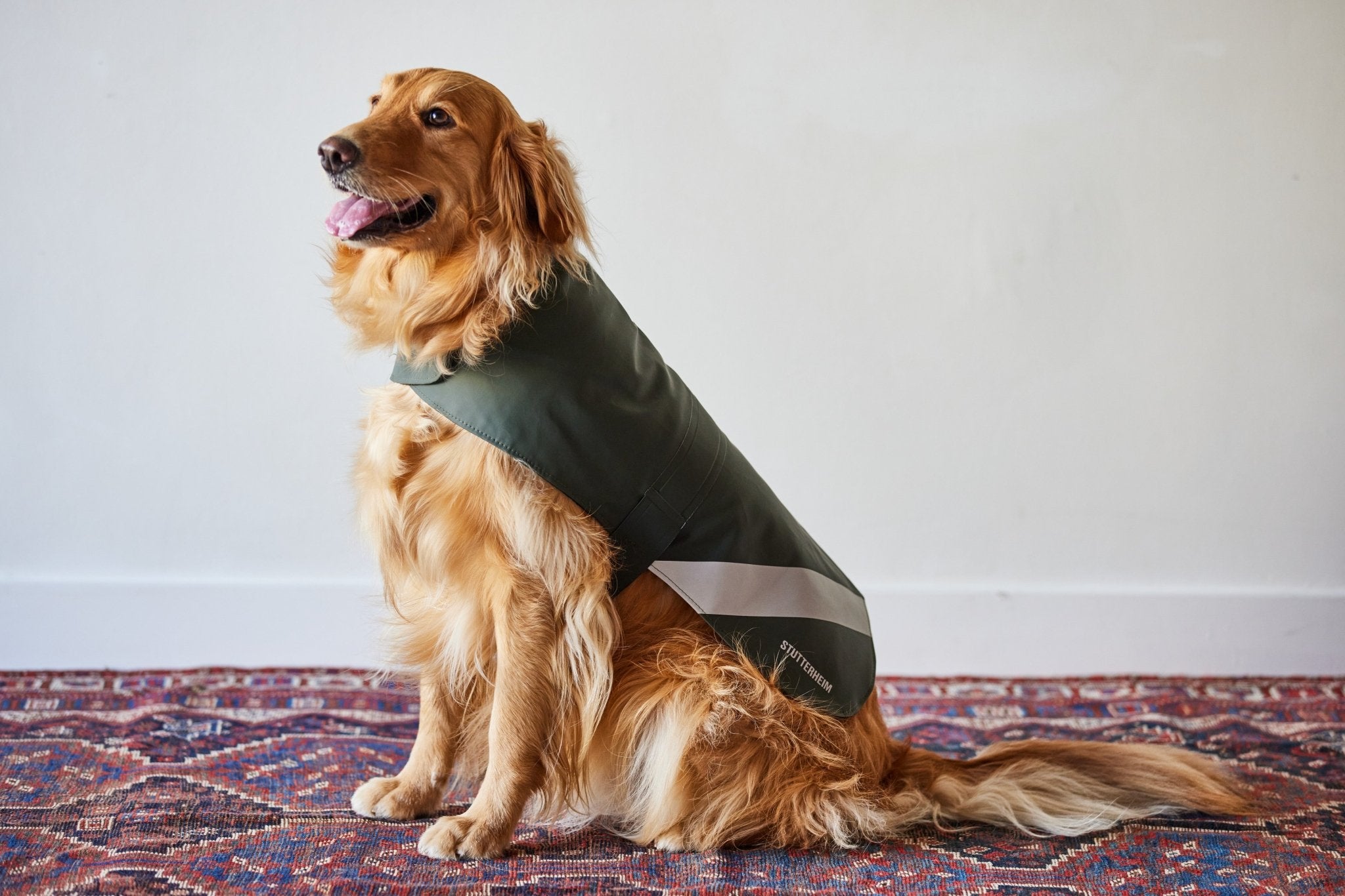 Stutterheim, Dog Raincoat (Multiple Sizes) - Nickey Kehoe