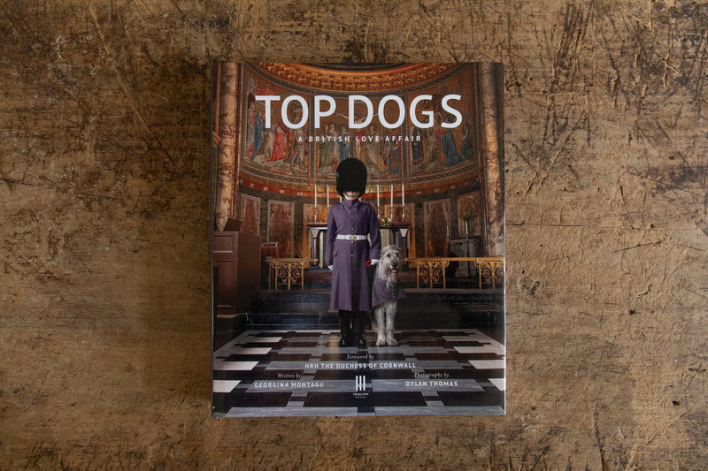 Top Dogs: A British Love Affair - Nickey Kehoe