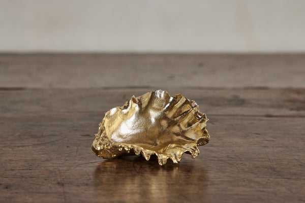 Unearthen, Brass Oyster Shell - Nickey Kehoe