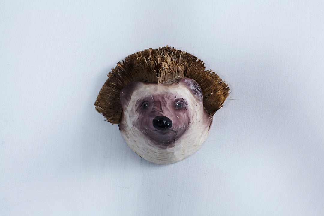 Paper Mâché Taxidermy, Hedgehog