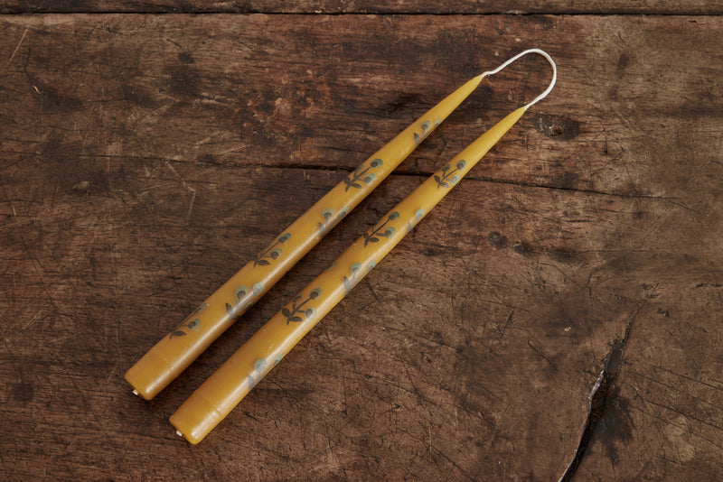 Yellow Tapers With Brown Flowers