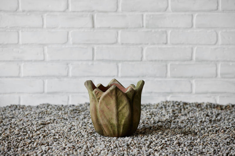 Clematis Planter