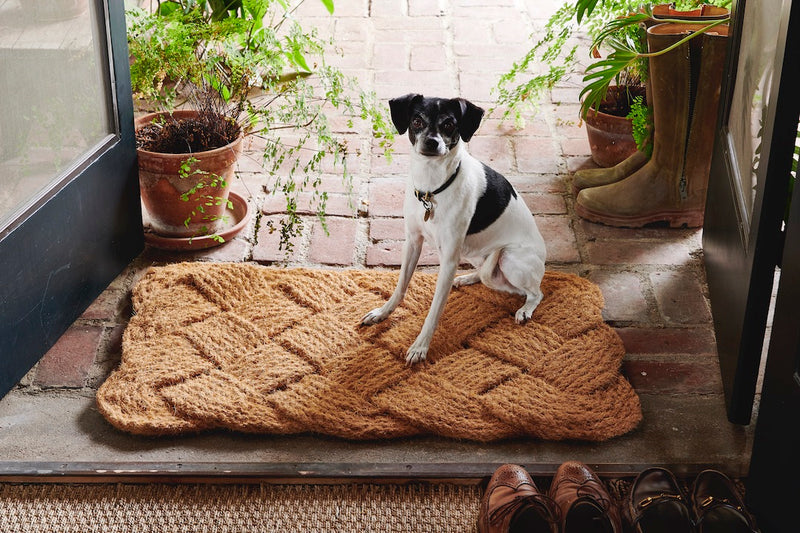 Natural Braided Rope Door Mat (2 Sizes) – Nickey Kehoe Inc.